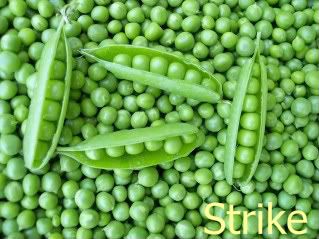Strike 1 photo Strike8.jpg